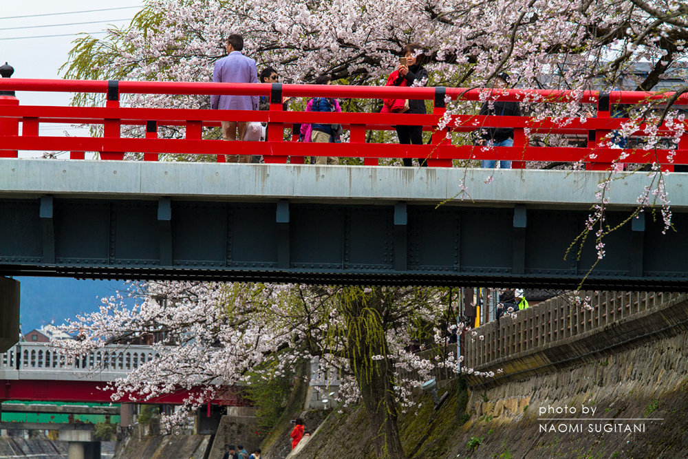 2015.04.19 飛騨高山赤橋