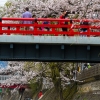 2015.04.19 飛騨高山赤橋