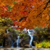 秋と滝との調和