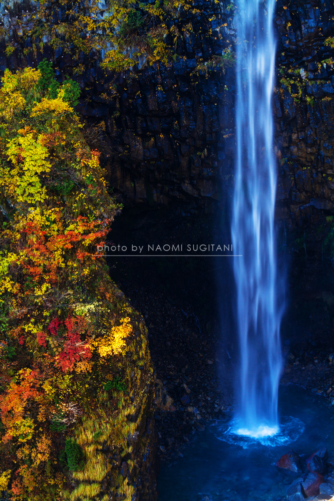 秋景色　：白川村　白水の滝