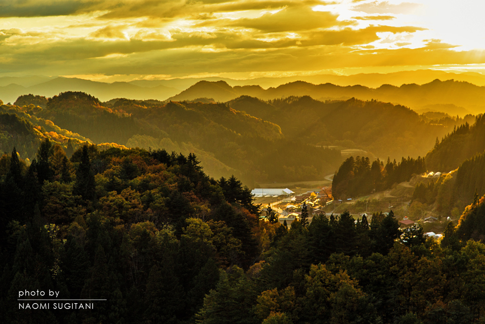 黄金の光　：飛騨高山