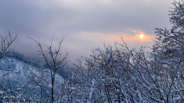 2015.01.04　飛騨風景