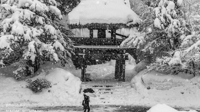 2015.02.01 みんな主役　～白川村