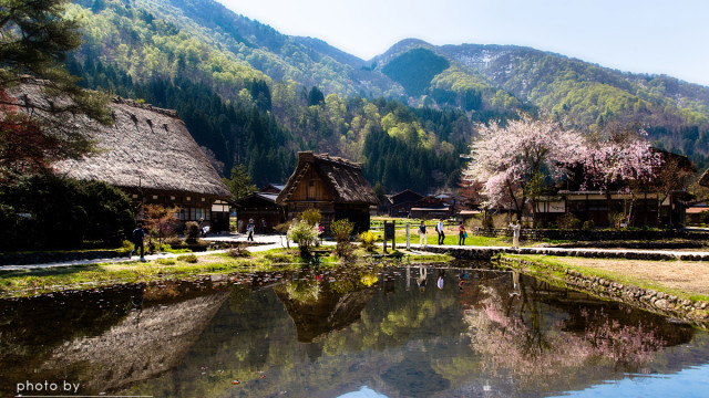 2015.04.27　櫻　～白川村
