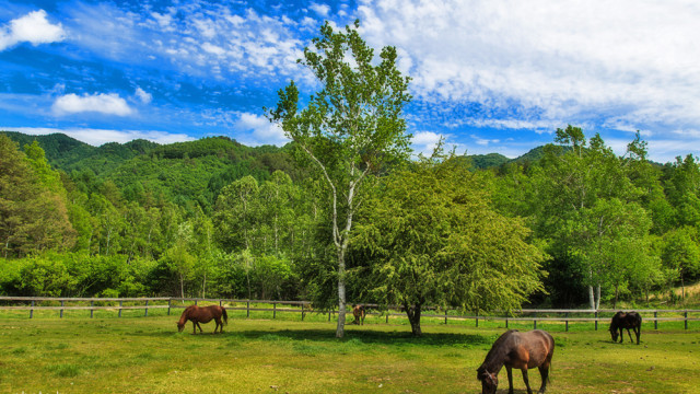 2015.05.31　開田高原