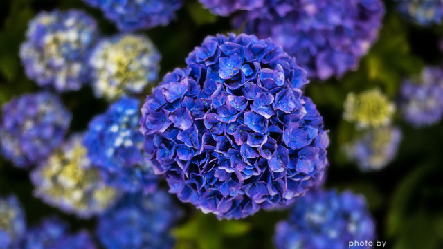 2015.06.19　雨の色　～富山市