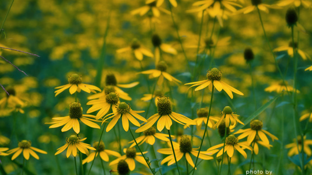 2015.08.22秋の気配～飛騨高山