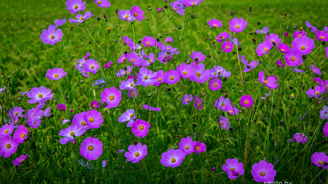 2015.09.05丹生川にて