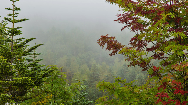 2015.09.19秋の気配～飛騨高山