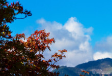 2015.09.27秋はそこまで～新穂高