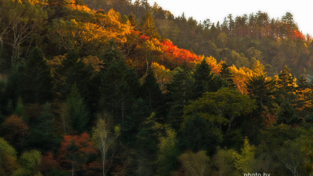 2015.10.04　秋始めました　～平湯