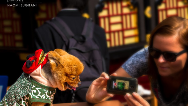 2015.10.09　人気者でいこう～高山祭