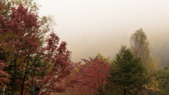 2015.10.11　Creature　～野麦峠