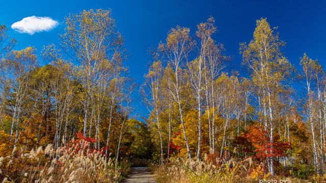 2015.10.18　胸いっぱいの秋を～日和田・開田