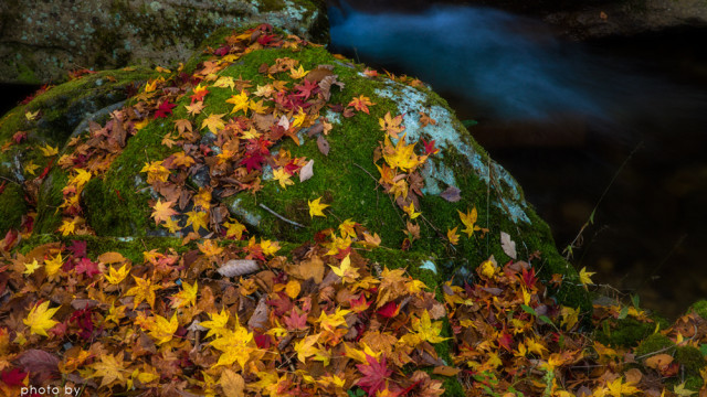 2015.10.31　REDCARPET ～国府四十八滝