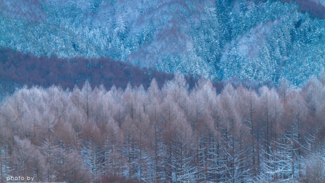 2015.12.05 PATTERN～飛騨高山
