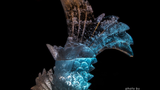 2016.01.11氷と灯りの祭典2016