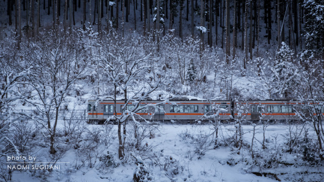 2016.01.24　雪煙る　～飛騨市