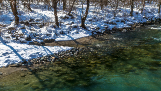 2016.01.31BLUE SKY,WHITE SNOW