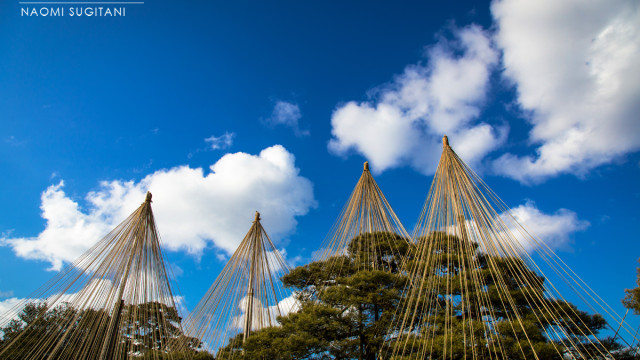 2016.02.10　兼六園散策