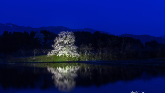 20160409南砺の春