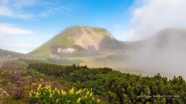 2016.07.29　花散策～乗鞍岳