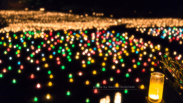 20160730四美ナリエ　～キャンドルナイト3