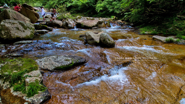 20160814　丹生川　木地屋渓谷