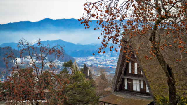 20170108飛騨