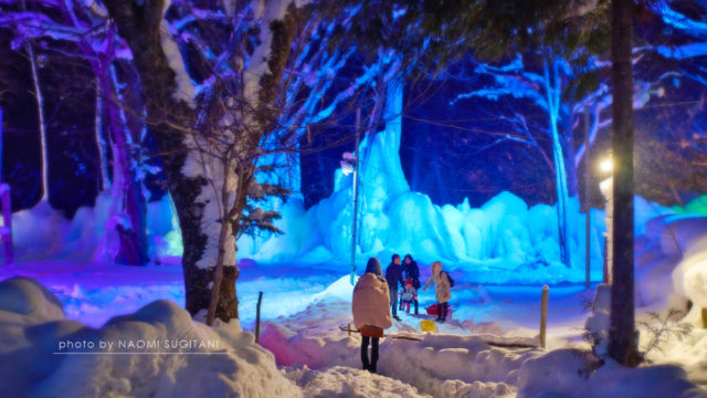 20170123氷点下の森