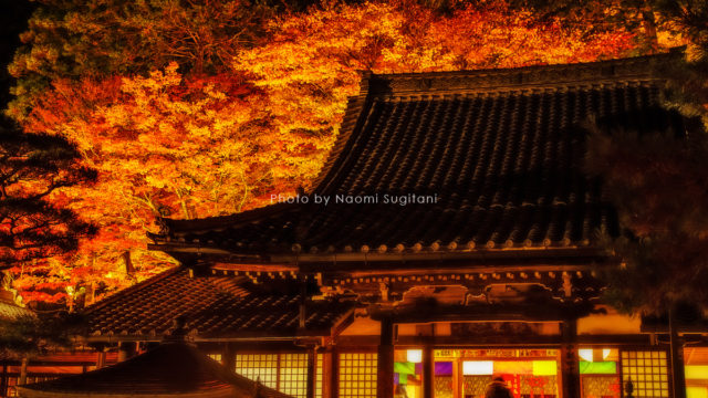 20171117下呂　紅葉