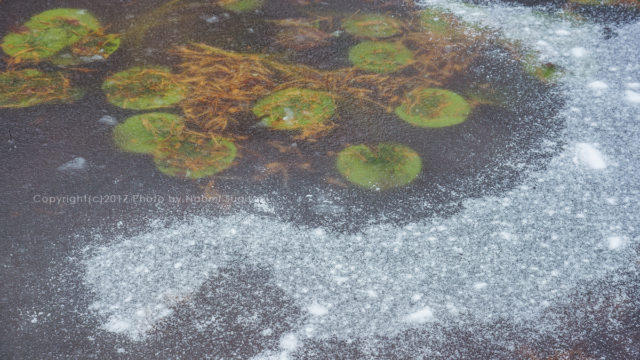 20171216-17高山散策