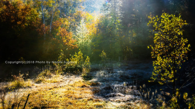 20181020乗鞍高原