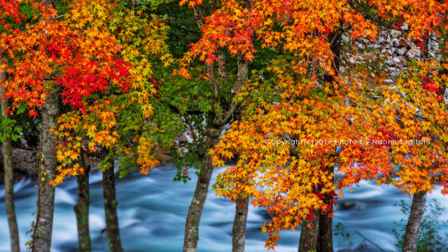20191027せせらぎ