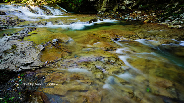 20200816-1 丹生川-水