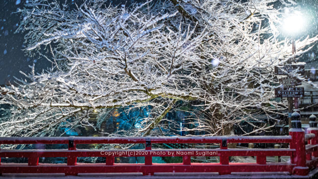 202001飛騨高山フォトコン