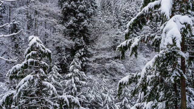 20200105takayama
