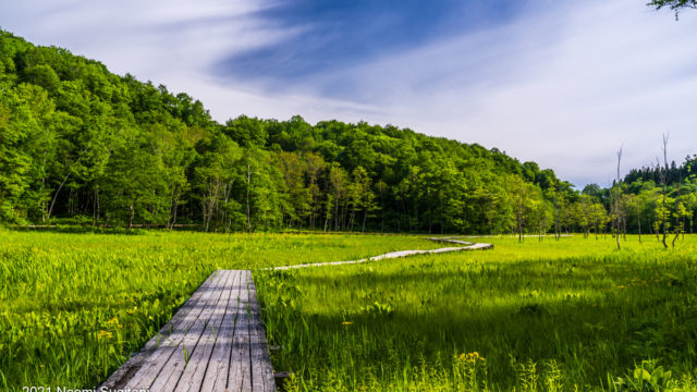 2021.06.05　池之原