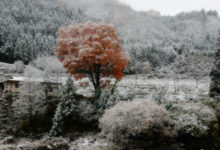 写真展のご案内